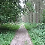 L'eucalyptus Hébergement de vacances