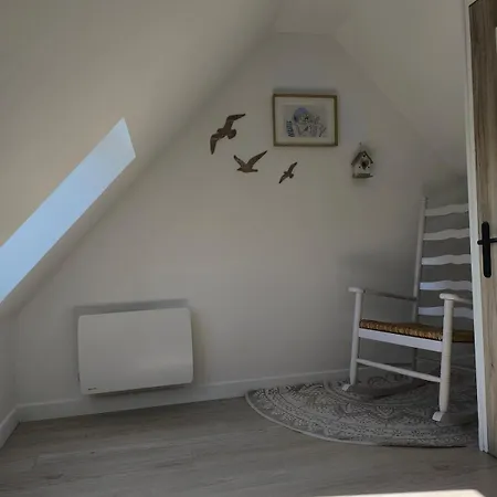 L'eucalyptus Saint-Nicolas-d'Aliermont