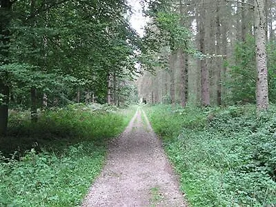 L'eucalyptus Feriehus